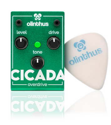 Olinthus Cicada Miniature Overdrive Pedal