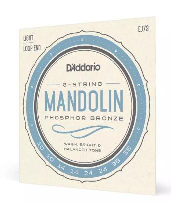 D'Addario EJ73 Phosphor Bronze Mandolin Strings, Light, 10-38